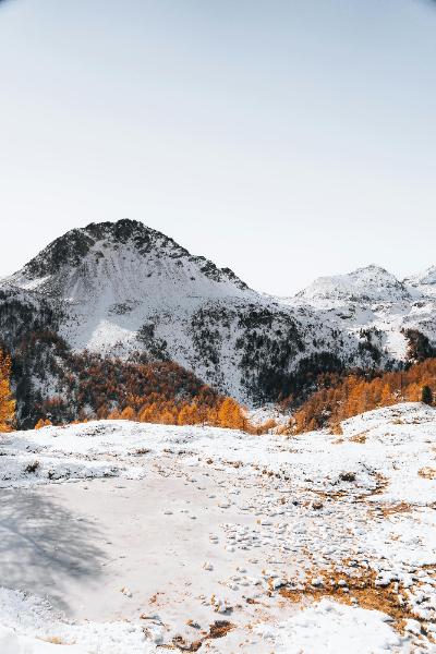 nginx代理设置允许跨域请求