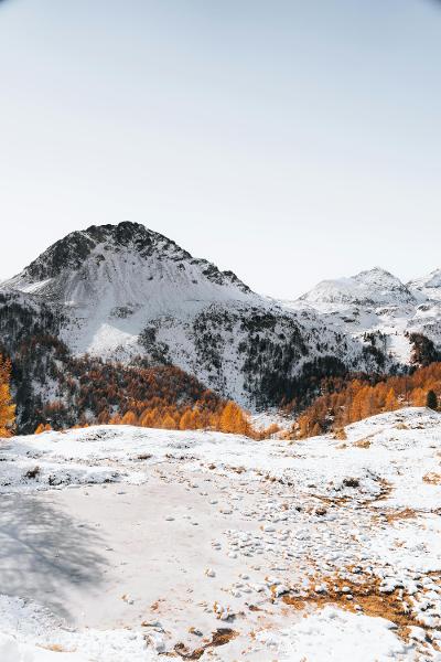 nginx代理设置允许跨域请求